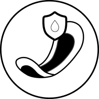 Replaces pantyliners